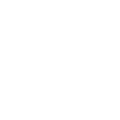 Digital Twin